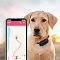 Tractive. GPS трекер для собак, цвет черный