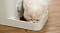 Умная кормушка Xiaomi Petkit Fresh Element Mini для кошек (White)