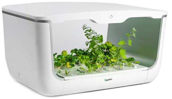 фото Домашняя ферма VegeBox H-BOX Level 1 (White)