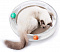 Игрушка-когтеточка Petkit Cat Scratcher 4 in 1 (Transparent)