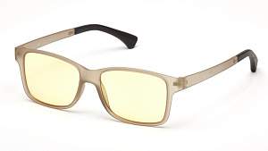 Очки для компьютера SP Glasses AF064, серый