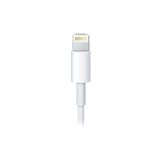 Apple Кабель стандарта Lightning to USB Cable (2 M)
Китай / 12 Месяцев / Lightning на USB 2.0 / 70*20*80 / 