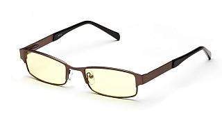 Очки для компьютера SP Glasses AF031, темно-серый