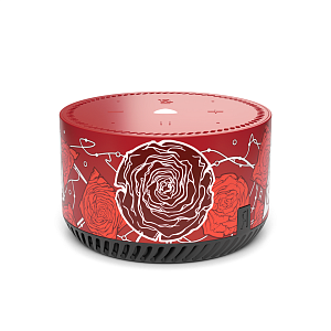 Кастомизированная Яндекс.Станция Rainbo Desert Roses