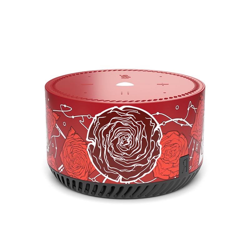 фото Кастомизированная Яндекс.Станция Rainbo Desert Roses