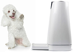 Автокормушка для собак и кошек с таймером "SITITEK Pets Pro" (4 кормления) 