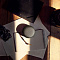 Bang & Olufsen BeoSound A1 2nd Gen Беспроводная акустика. Цвет Gold Tone