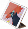 Чехол  Momax Flip Cover Case для iPad10.2″ 2019  Gold