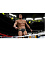 WWE 2K17 [PS4, английская версия]