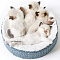 Лежак для кошек Petkit Deep Seep Cat Bed P7107 (Blue)