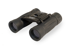 Бинокль Levenhuk Atom 10x25 67676