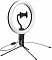Кольцевая лампа Baseus Live Stream Holder-table Stand 10&quot; (CRZB10-A01)