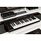 Универсальная полноразмерная MIDI-клавиатура/контроллер IK Multimedia iRig Keys 2 Pro