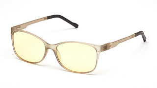 Очки для компьютера SP Glasses AF063, серый