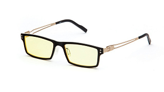 Очки для компьютера SP Glasses AF071 , черно-кремовый