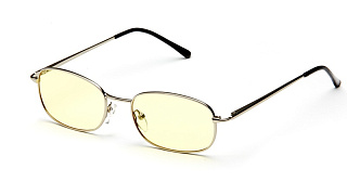 Очки для компьютера SP Glasses AF010, серебро