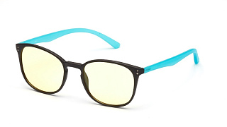 Очки для компьютера SP Glasses AF055, черно-бирюзовый